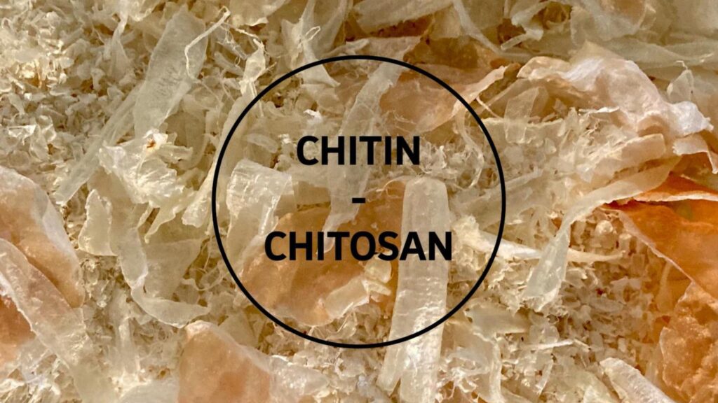 Chitin – vielfältig anwendbarer Biokunststoff